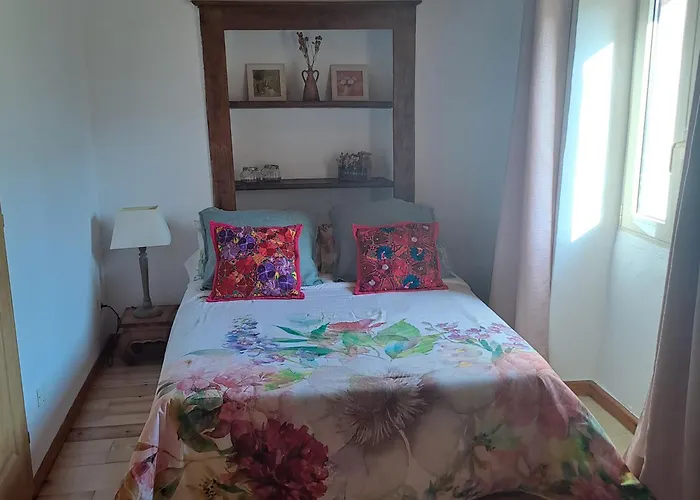 A Casuccia - Maison Traditionnelle Corse Avec Piscine Privee * San-Nicolao